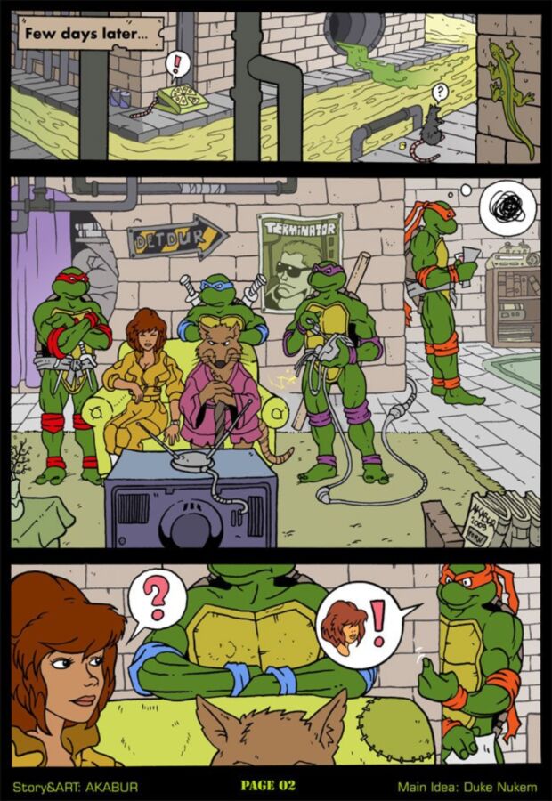 Free porn pics of Teenage Mutant Ninja Turtles  9 of 307 pics
