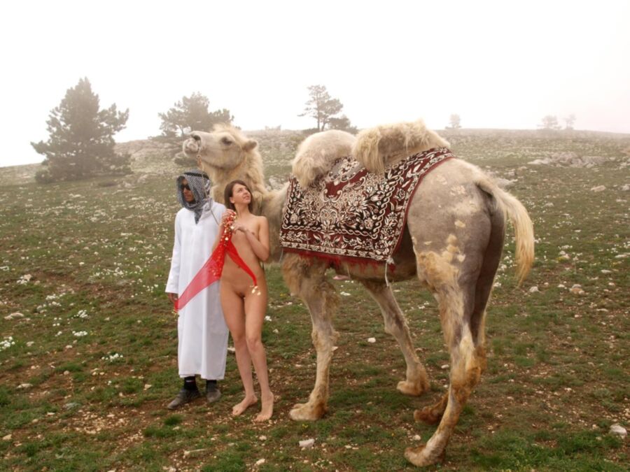 Free porn pics of Lucky Camel 1 of 20 pics