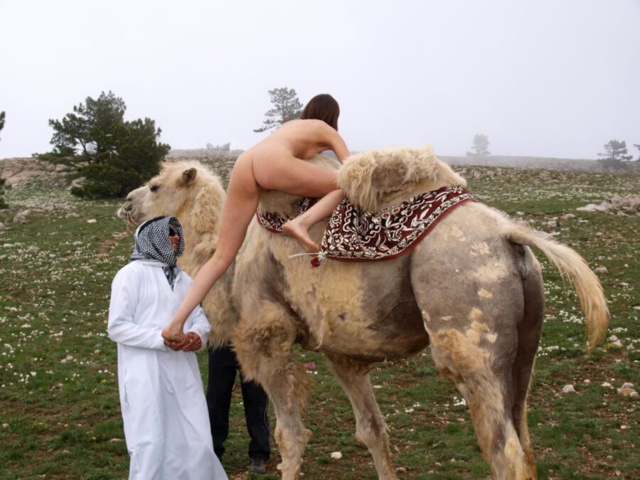 Free porn pics of Lucky Camel 13 of 20 pics