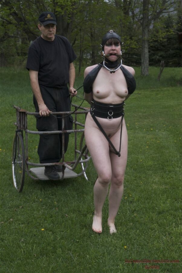 Have hit amateur ponygirls free Removed amateur ponygirls free apologise