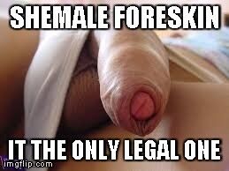 Free porn pics of in the land of shemaledom only the supperior she male remain unc 1 of 13 pics