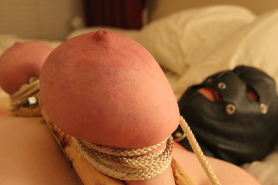 Free porn pics of Breasts clamped and tortured 5 of 23 pics