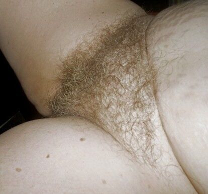 Free porn pics of A hairy pussy smells and taste better. 20 of 47 pics