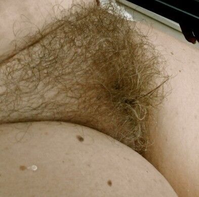 Free porn pics of A hairy pussy smells and taste better. 16 of 47 pics