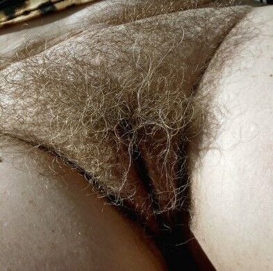 Free porn pics of A hairy pussy smells and taste better. 18 of 47 pics