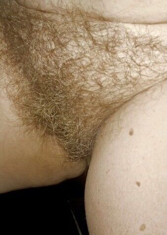Free porn pics of A hairy pussy smells and taste better. 4 of 47 pics