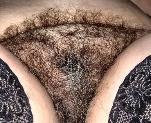 Free porn pics of A hairy pussy smells and taste better. 14 of 47 pics