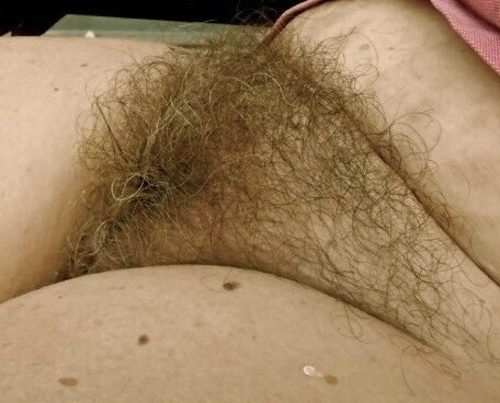 Free porn pics of A hairy pussy smells and taste better. 17 of 47 pics